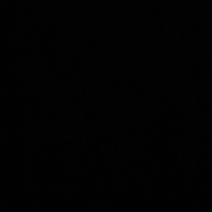 Meet your Posher, Shauna